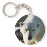Looking into the eye of a Polar bear keychains