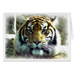 Looking into you greeting card