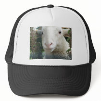 Looking Sheepish Mesh Hat