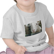 Looking Sheepish T-shirts