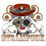 looking steampunked steampunk collage art photo sculptures