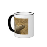 Looking Tortoise mugs