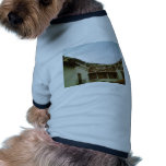 Looking up from a street in Taxco Pet T-shirt