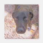 looking up.magnet