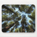Looking Up mousepads