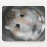 Looking up - Tac Mousemat Mouse Pads