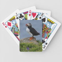 Lookout Puffin Deck Of Cards