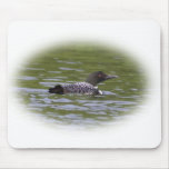 Loon