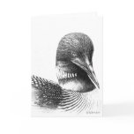 Loon cards