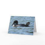 Loon couple greeting card