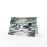 Loon Family Greeting Card