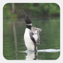 Loon Stickers