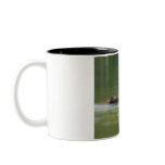 Loon with chick Coffee Mug