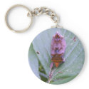 Looper moth ~ keychain