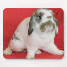Lop-eared Rabbit Mousepads