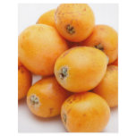 Loquats flyers
