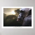 "LORD OF PARADISE" Chimpanzee Art Poster posters