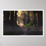 Lord of the Forest posters