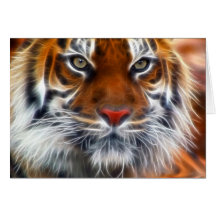 Lord of the Indian Jungles, The Royal Bengal Tiger Card