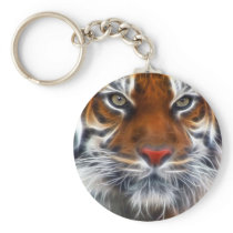 Lord of the Indian Jungles, The Royal Bengal Tiger