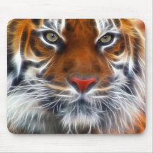 Lord of the Indian Jungles, The Royal Bengal Tiger Mouse Mats