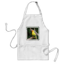 Lorikeet Apron