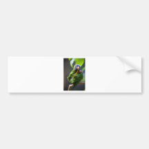 Lorikeet Bumper Sticker