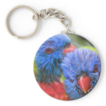 Lorikeets bubble with shadow