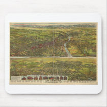 Los Angeles California in 1894 Mouse Pad