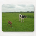 Lost Cow Mousepad