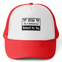 Lost Dog Administrator Mesh Hat