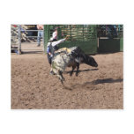 "Lost Dutchman Days Rodeo" postcards