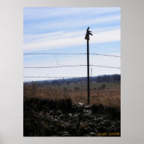 Lost-n-Found Poster
