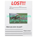 LOST PET FLYER - vertical