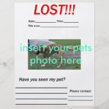 LOST PET FLYER - vertical