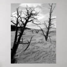 Lost Print