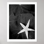 lost posters