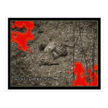 Lost their way... postcards