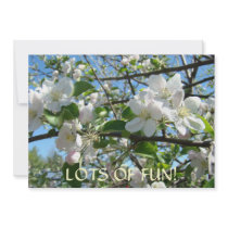 Lots of Fun! Invitations Apple Blossoms Valentines