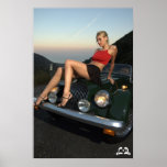 Lotti B Sitting on Car Poster posters