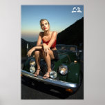 Lotti B Sitting on Car Poster posters