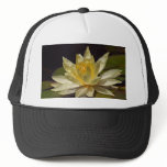 Lotus At The Reflecting Pond In Balboa Park Hat
