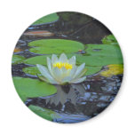 Lotus Bloom Magnet