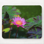 Lotus Bloom mousepads