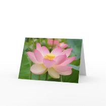 Lotus Blossum Greeting Card