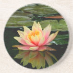 Lotus Coaster