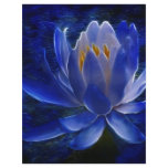 Lotus flower and its meaning flyer design