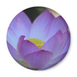 Lotus flower and its meaning fridge magnets