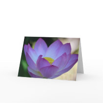 Lotus flower and its meaning greeting card