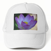 Lotus flower and its meaning hat
